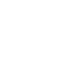 Steyr Arms